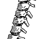 backbone-pn