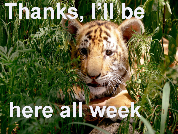 pixabay-tiger-thanks words-164585 copy
